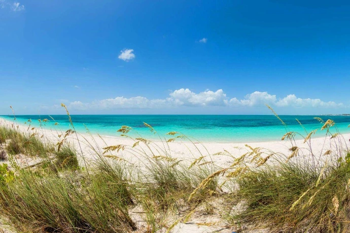 Pristine white sand beach with coastal dune grasses, turquoise ocean water, and clear blue skies
